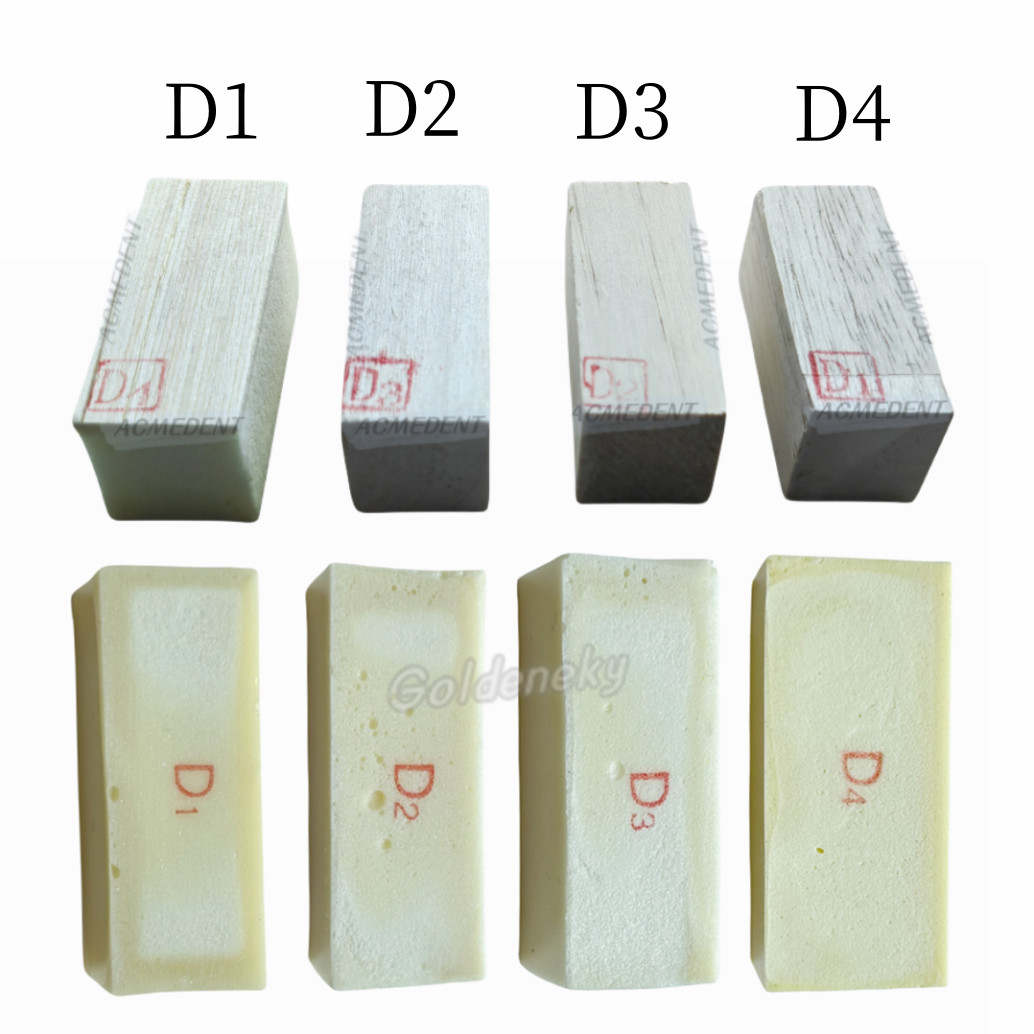 Practice Model Wood Blocks Dental Study Jaw Bone Replica GBR/Implant Use D1-D4