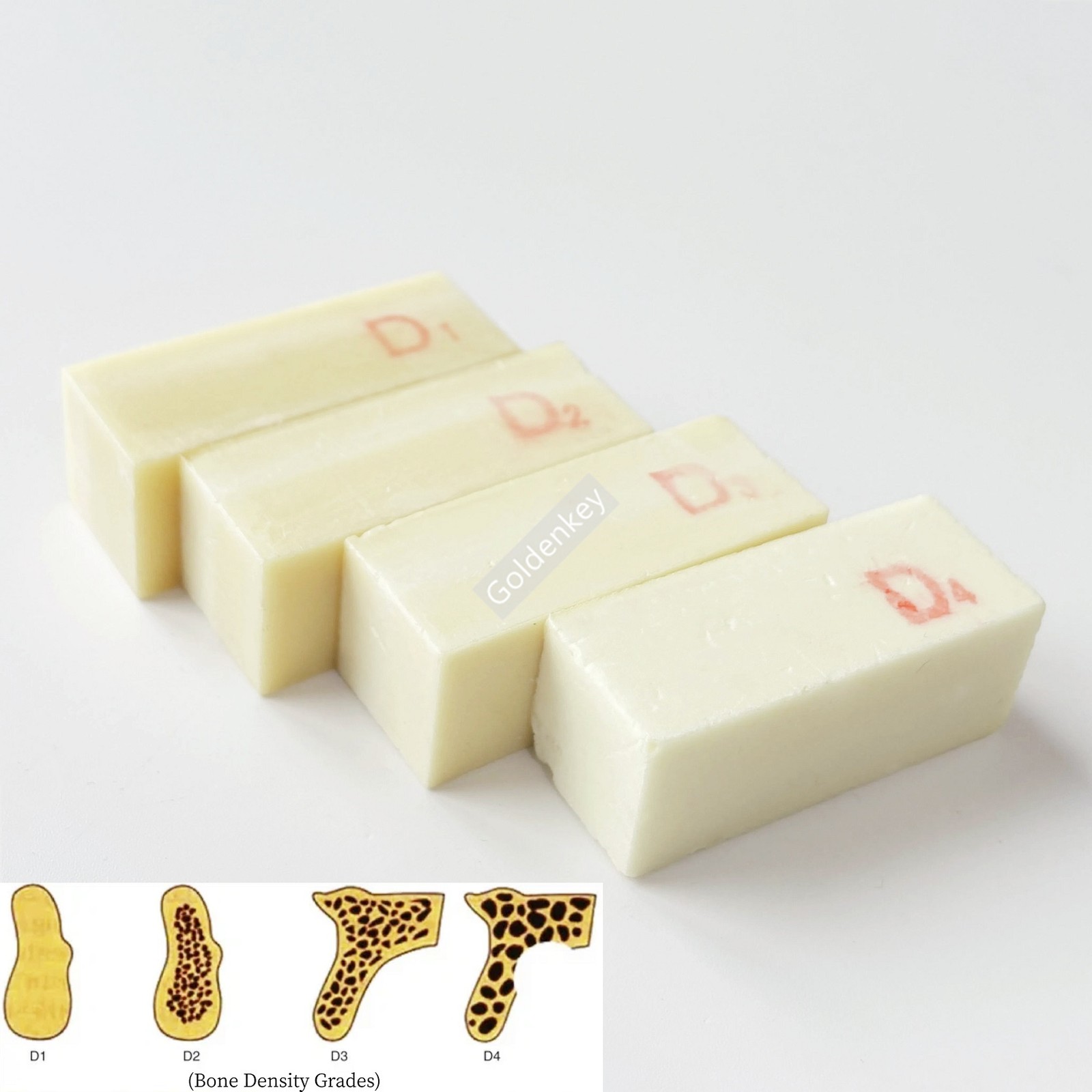 Dental Artificial Bon Blocks Practice Jaw Bone Model Replica D1–D4 Density