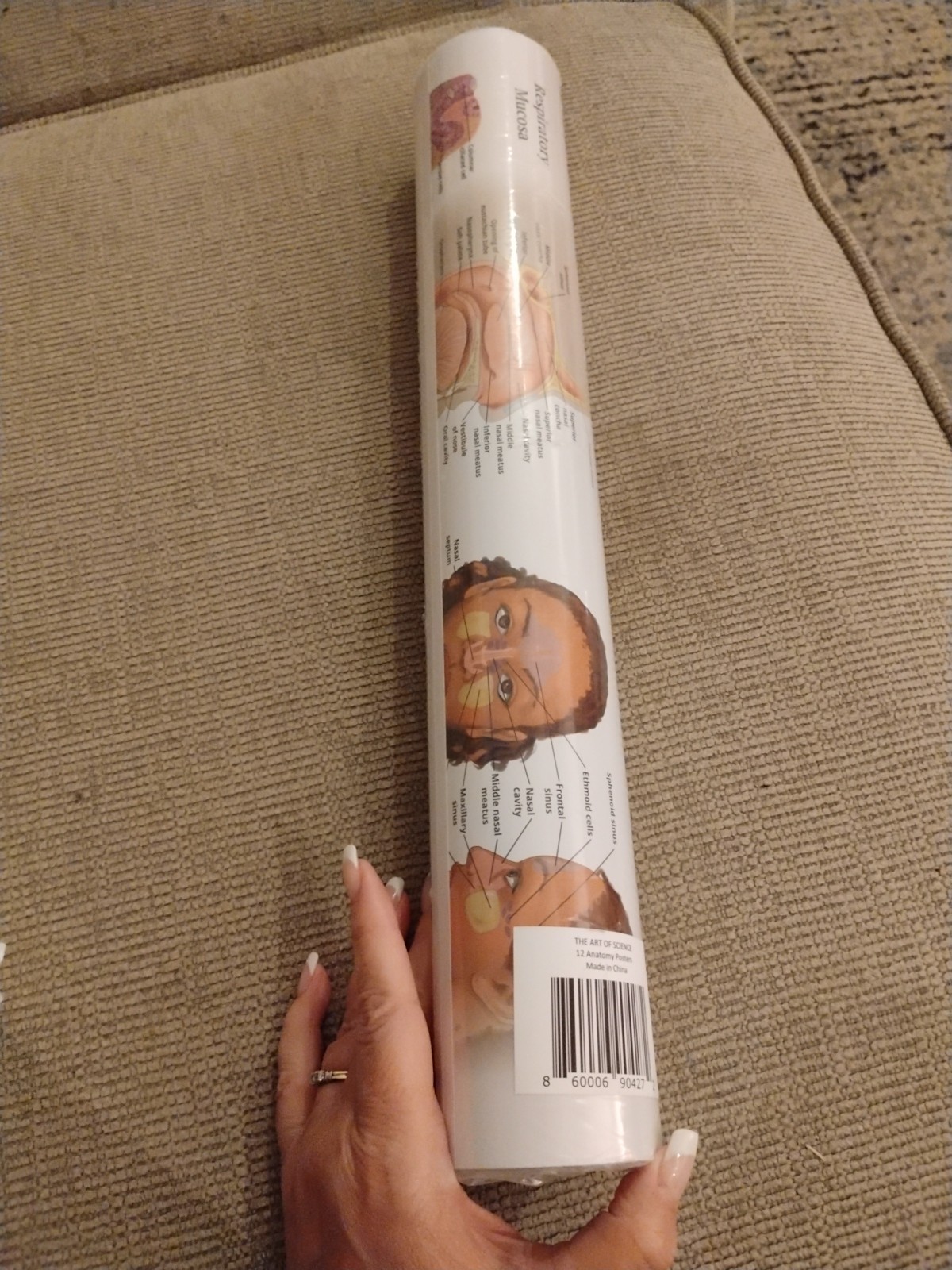 The Art Of Science 12 Anatomy Posters B19