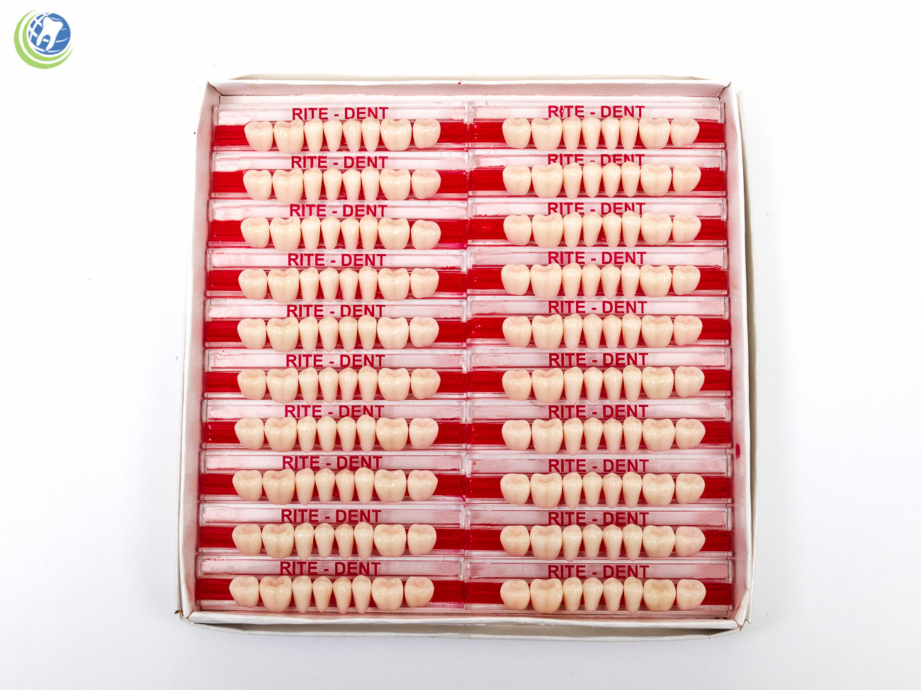 Dental Lab Lower Posterior Acrylic Resin Molars Various Sizes & Shades 160/Box