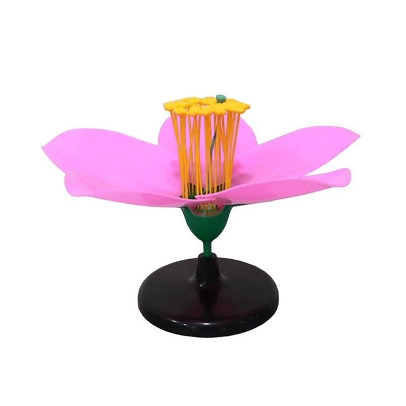 Detachable Plastic Peach Blossom Model Suitable for Detailed Study