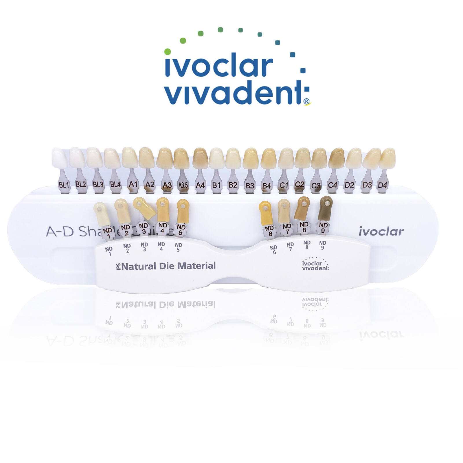 Ivoclar Vivadent Dental Shade Guide A-D 20 IPS or Natural Die ND1-9 Bleach Teeth