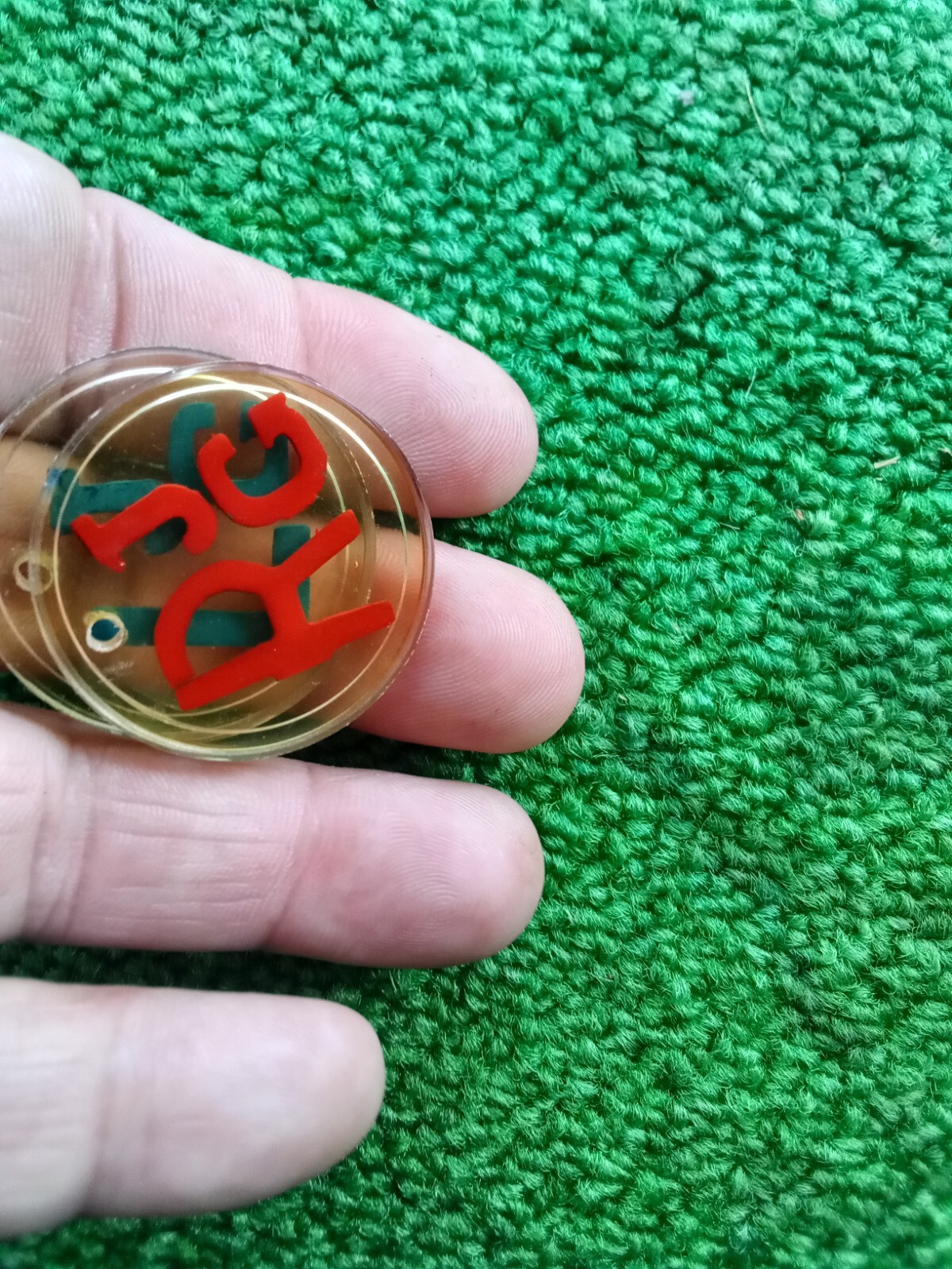 Xray Markers Red And Blue With Initials JG