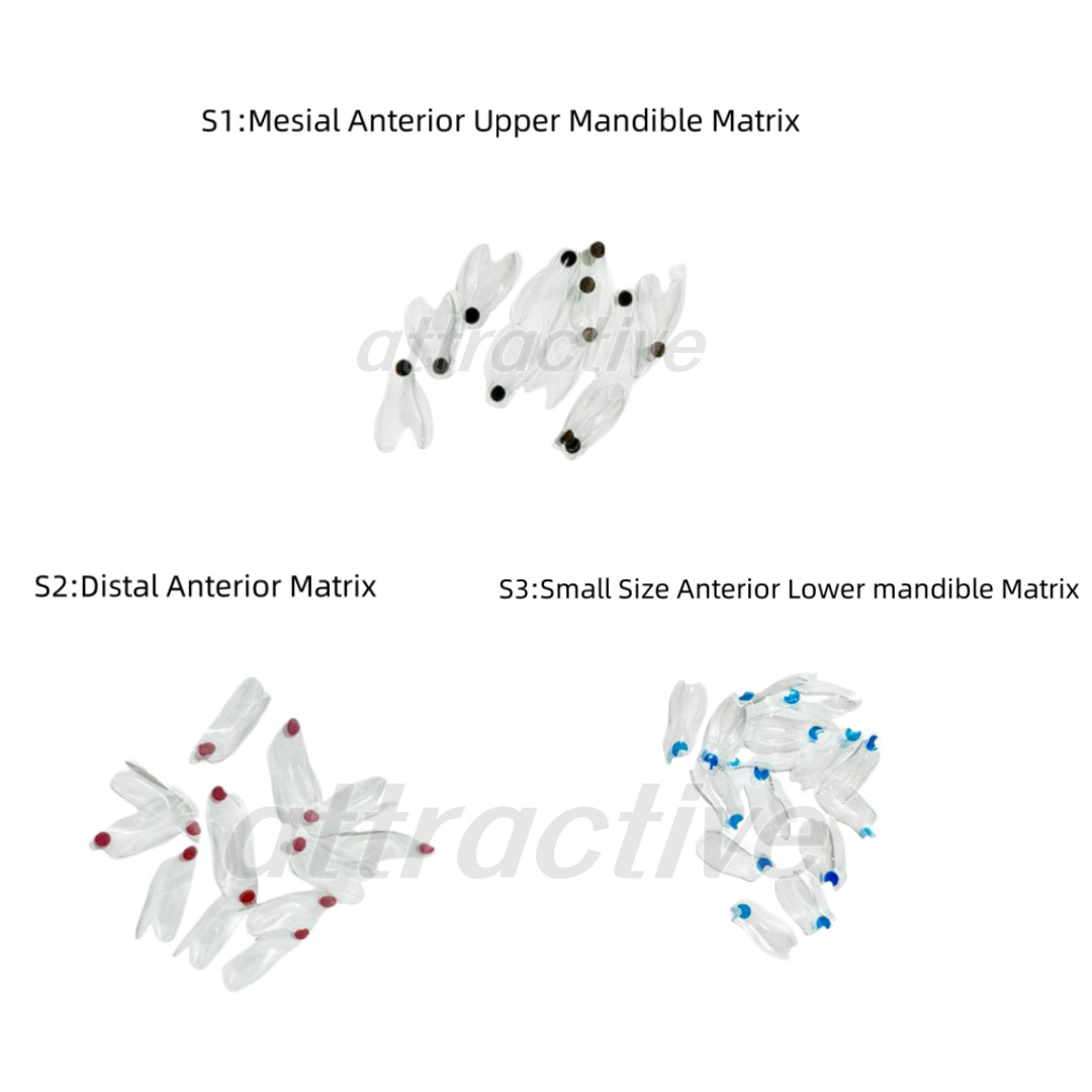 Dental Clear Matrix Anterior Posterior Restorative BT Bow Matrices Fit BioClear