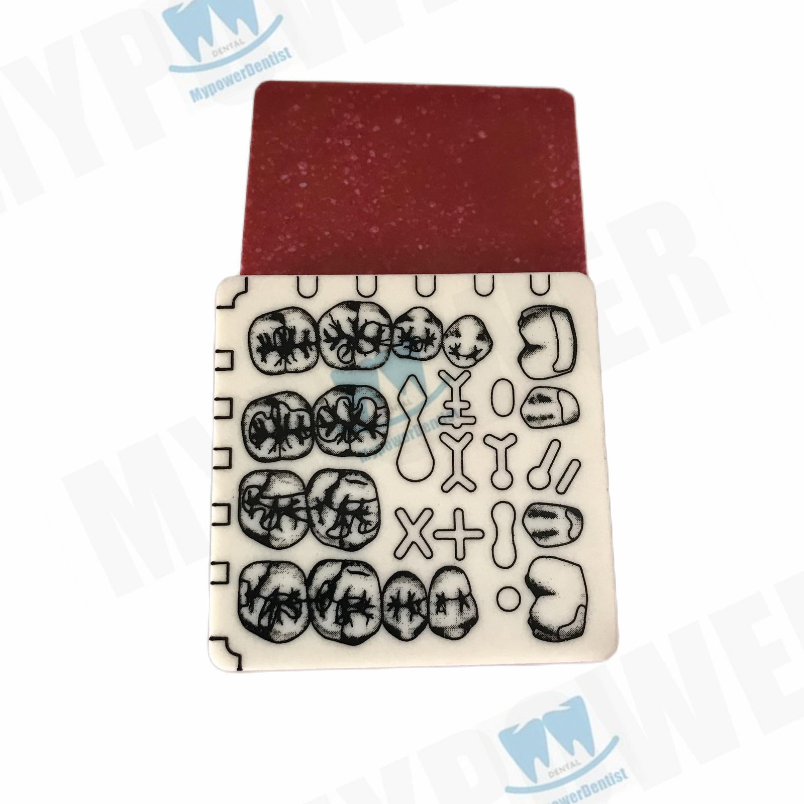 Dental Cavity Preparation/Vitro Decay Caries Model/Composite Resin Filling Model
