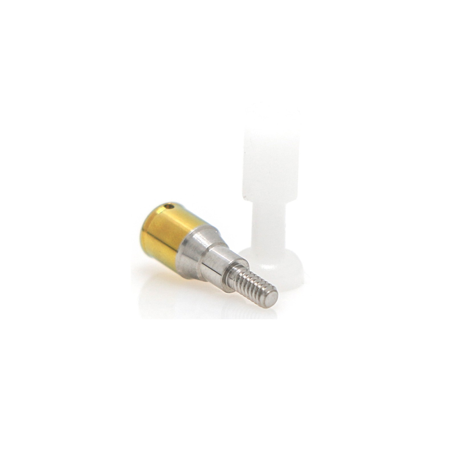 Dental Titanium Locator Abutment Compatible Zest for Straumann ITI BL RC Implant