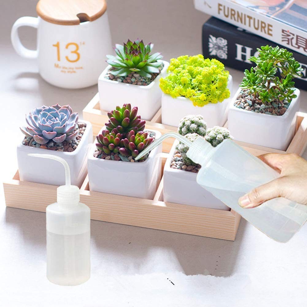 Wash Bottle 2pcs 250ml/8oz Safety Bottles Watering Tools, Economy Plastic Squ…