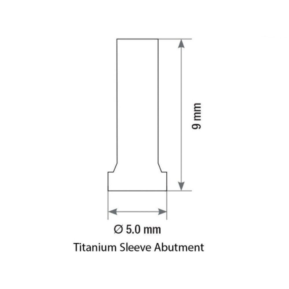 10pcs Temporary Straight Titanium Abut men ts With Screws Internal Hex