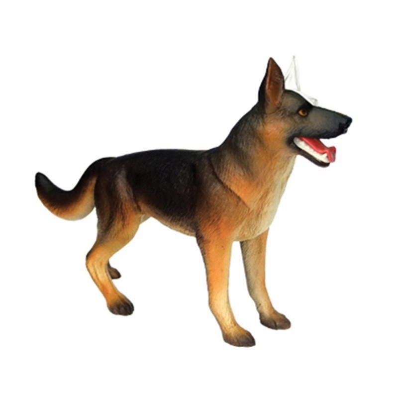 Realistic Dog Organ Anatomy Model Educational Model with Detachable Parts