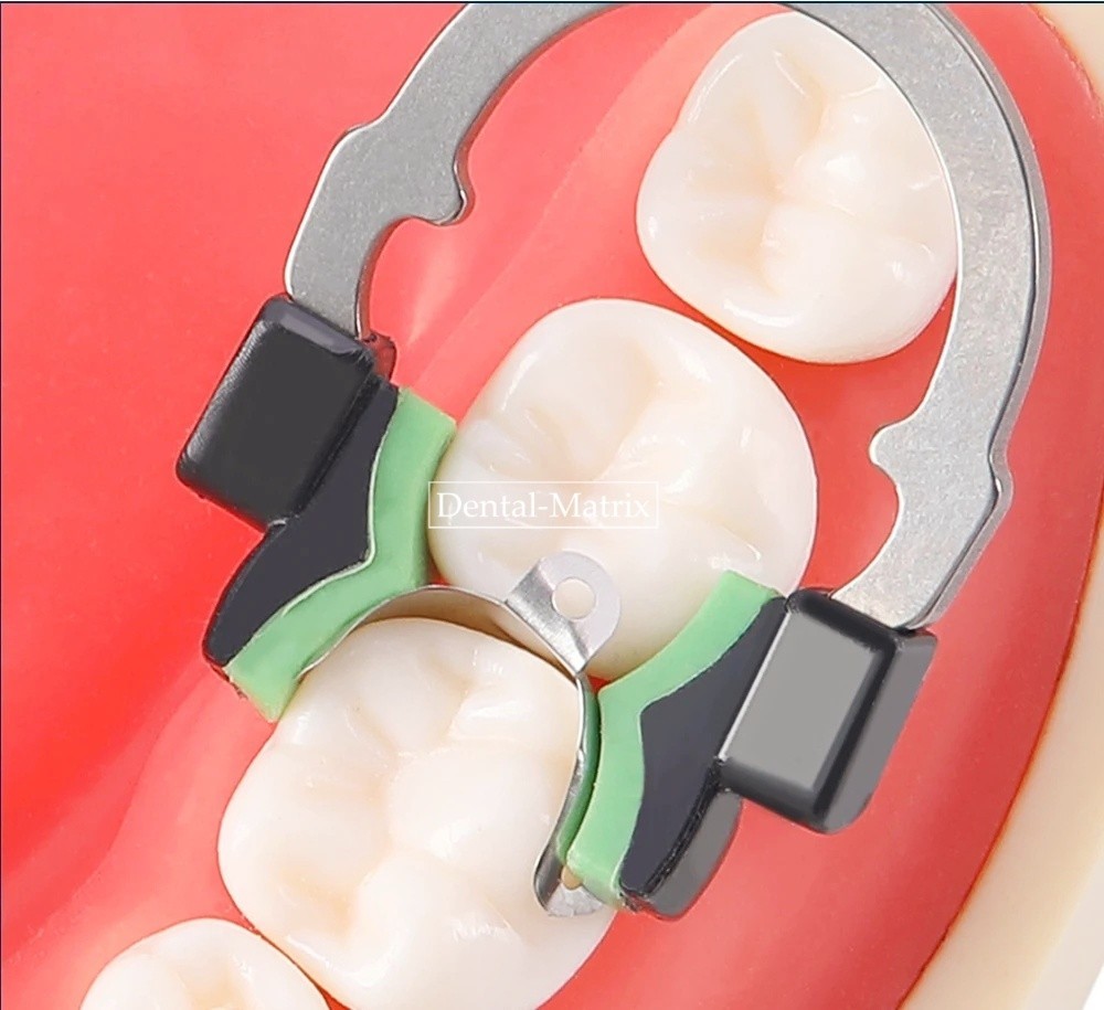 Dental Matrix Bands Ring Sectional Matrice Clamp Fit Garrison Palodent V3 System