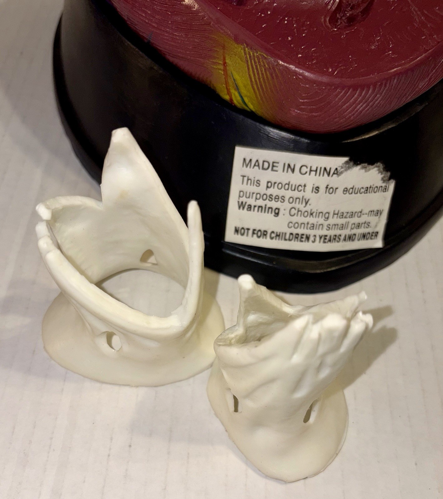 Dissectible Human Anatomical Jumbo Heart Model 7 Piece + Base Teaching Model