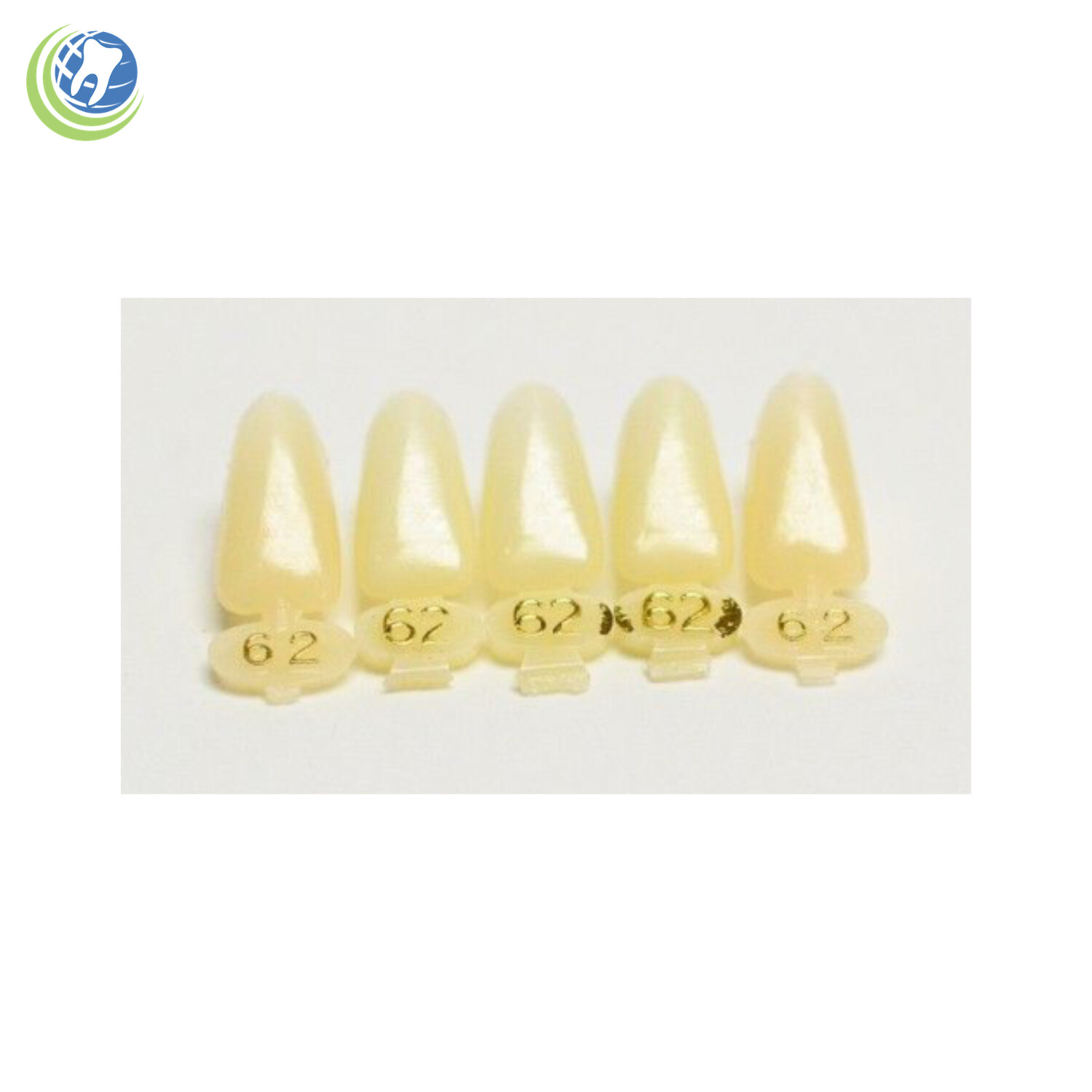 Tooth #23, 24, 25 or 26 Tooth Lower Anterior Long Polycarbonate Crown Cap Refill