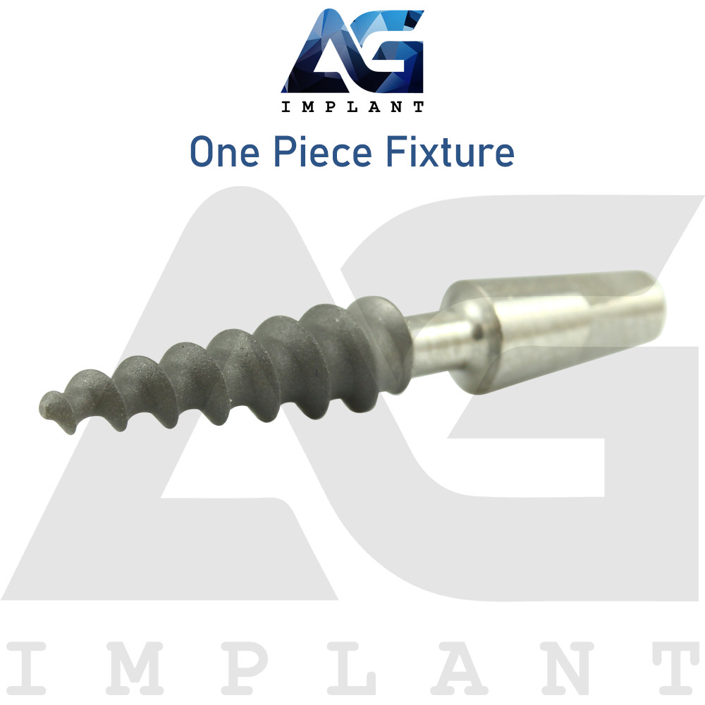 10 One Piece Fixture System Titanium Prosthetic Integrated SLA Surface Dental