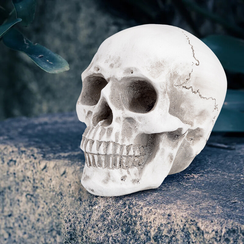 1:1 Retro Human Skull Replica Resin Anatomical Model Medical Life Size Realistic