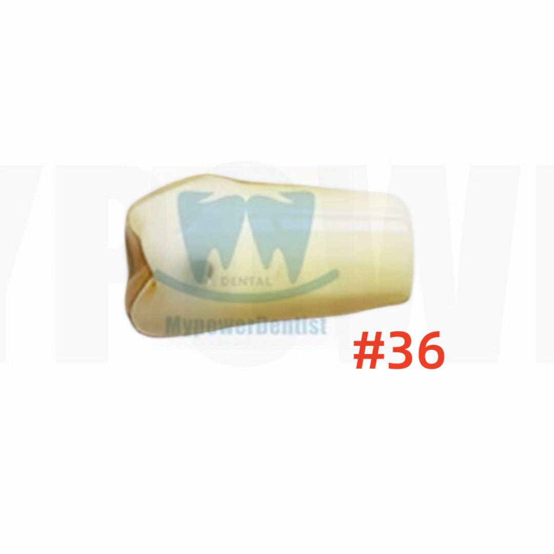 Dental Cavity Preparation/Vitro Decay Caries Model/Composite Resin Filling Model