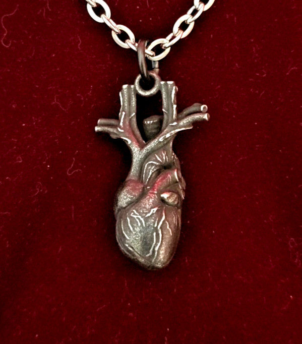 Anatomical Heart