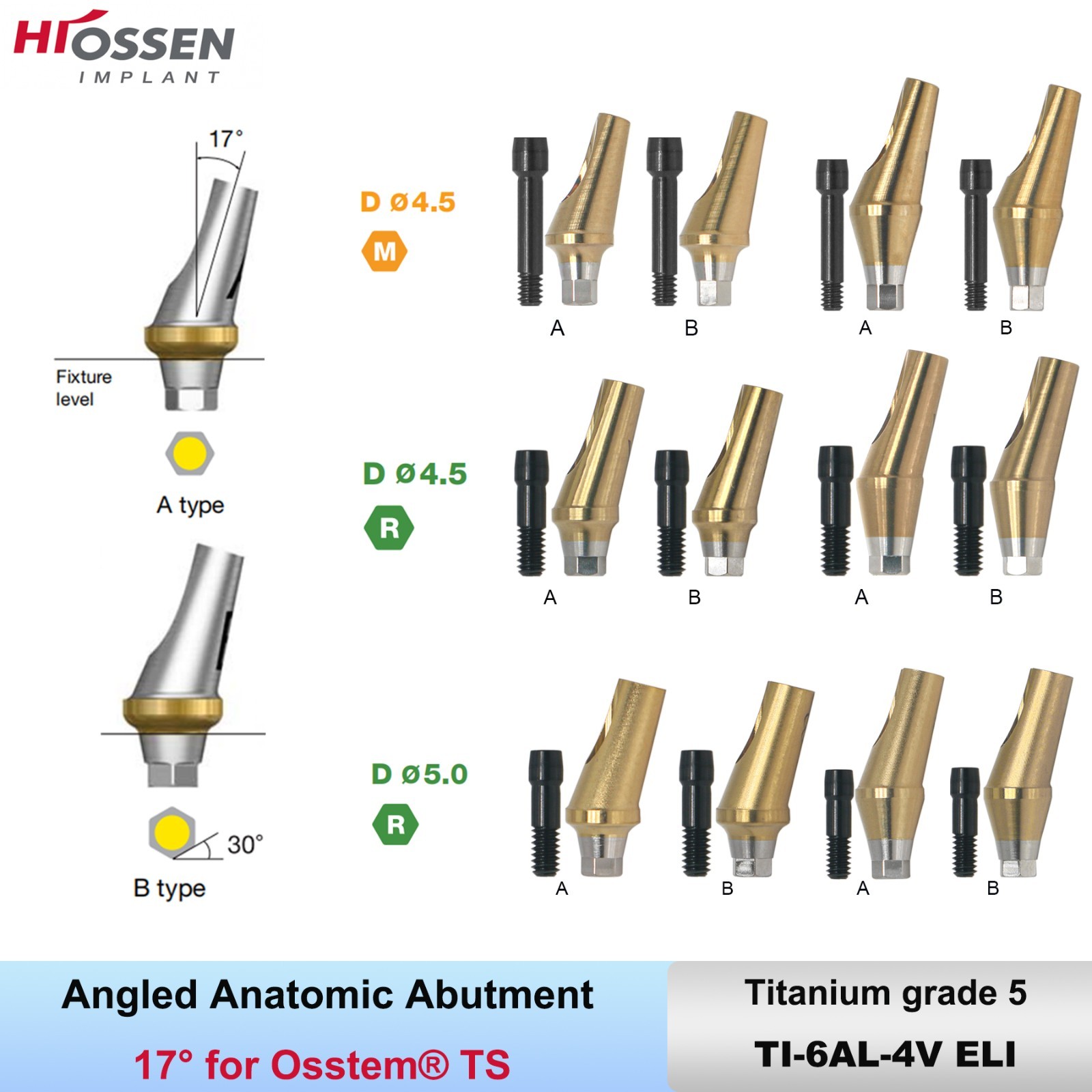 17° Angled Abutment Mini/Regular Hex Compatible with Osstem TS Implants Titanium