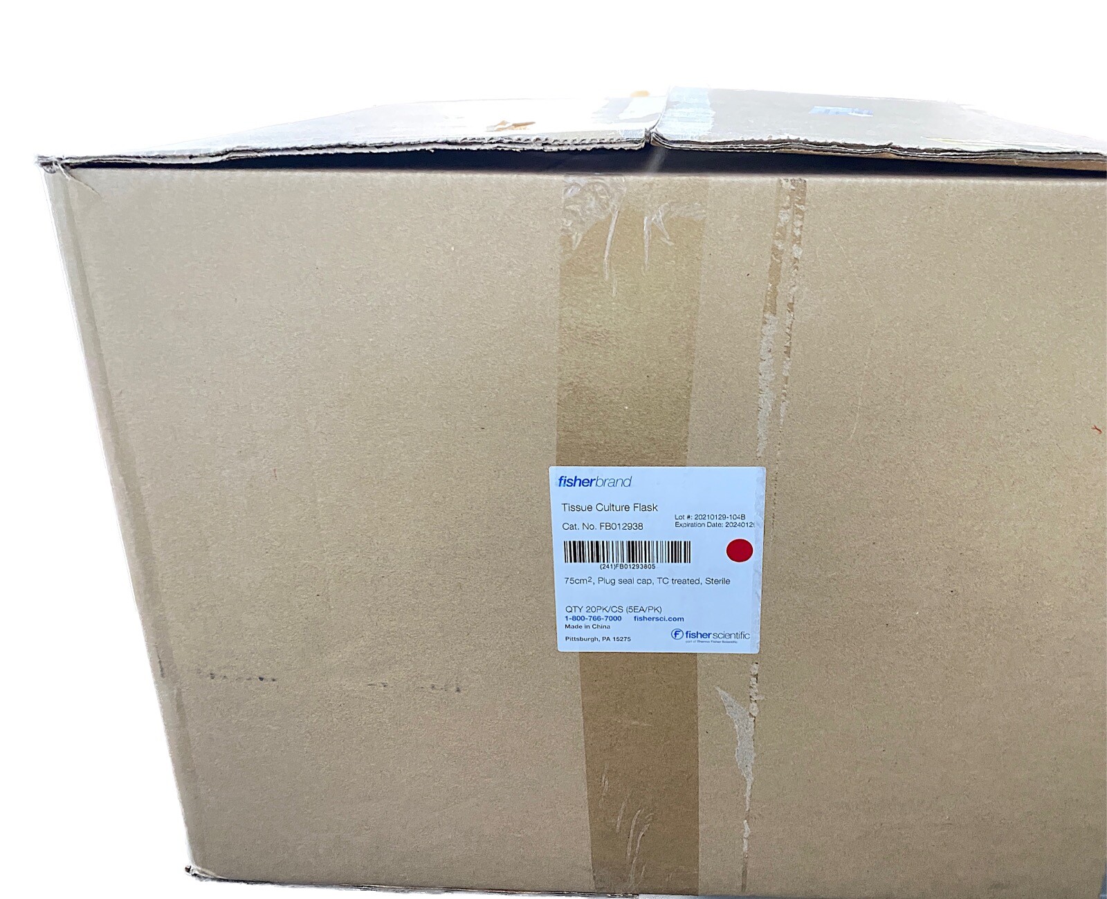(100/Cs) FISHERBRAND 75cm2 TC Treated Culture Flasks w/ Plug Seal Caps FB012938