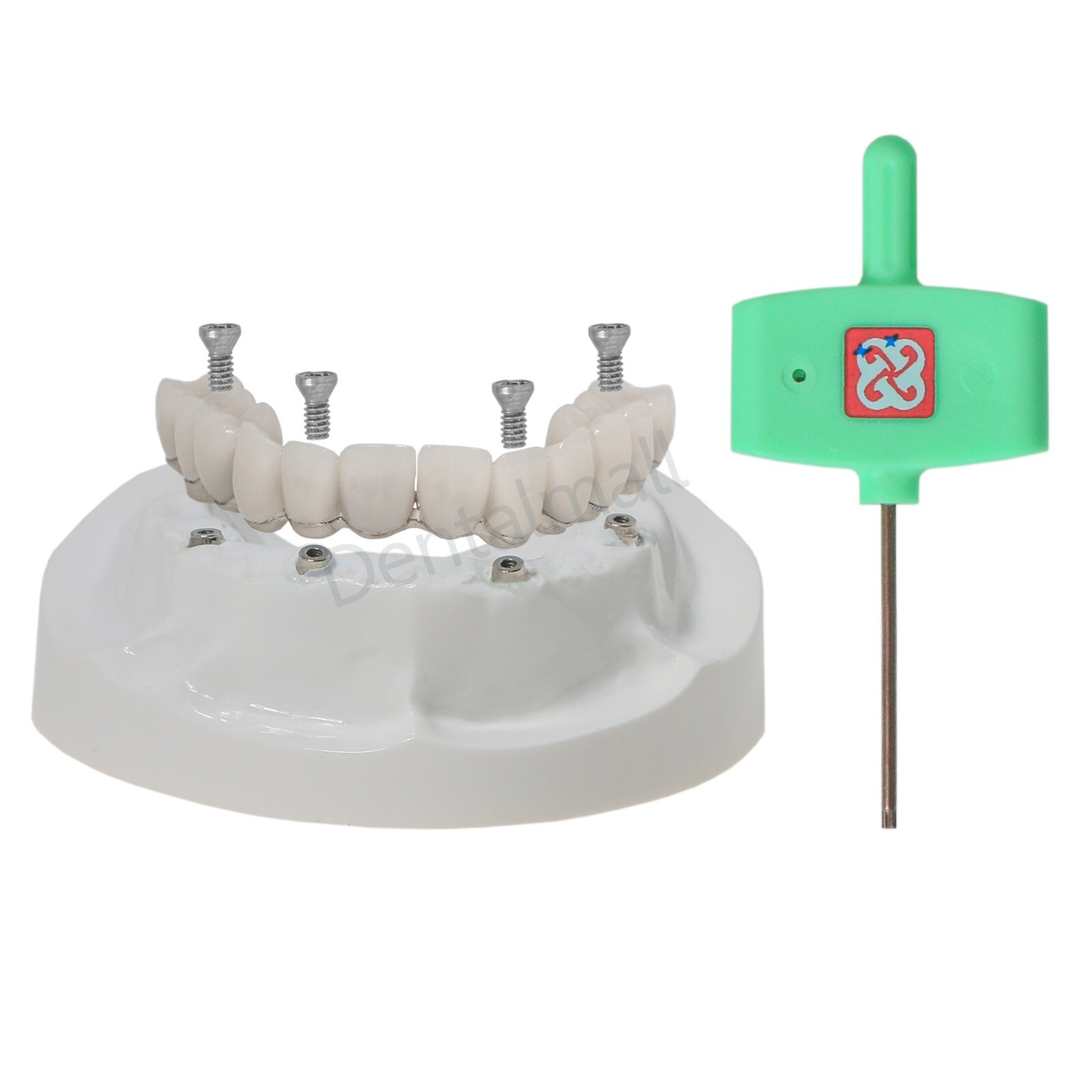 Dental Typodont Teeth Model Overdenture Implant Practice Endo Ortho Teachi Study