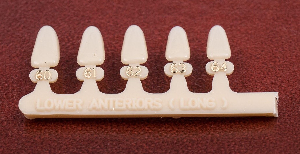 Tooth Lower Anterior Long Dental Temp Crowns Fillings Caps & Dentek Repair Kit