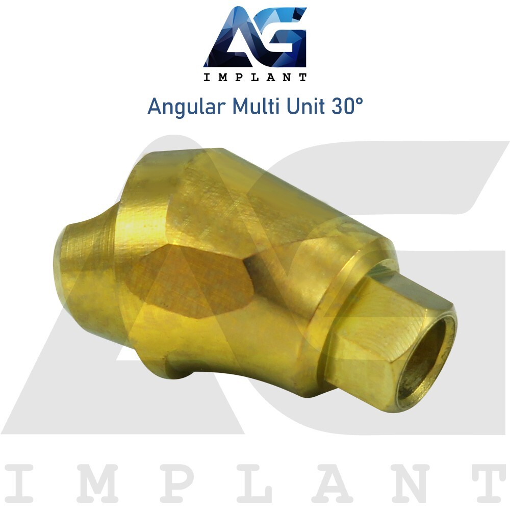 10 Angular Multi Unit 1.6 Prosthetic System 30° Internal Hex With Screw