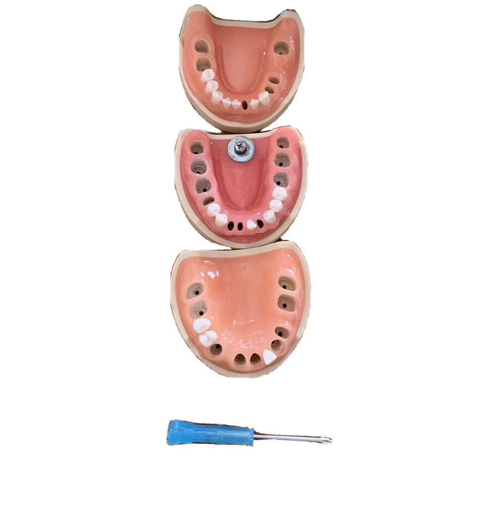 KILGORE TYPODONT Model For Bench Test = Free Shipping!!! See Photos for Details…