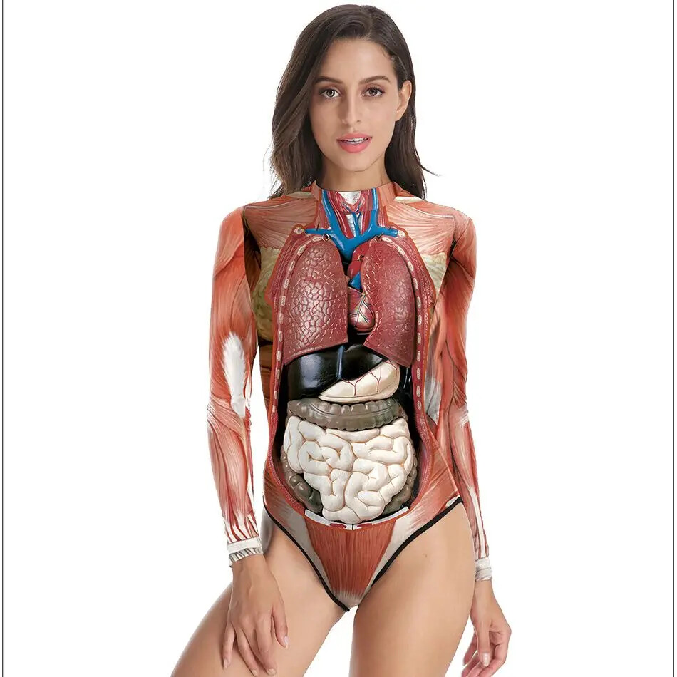 Medical Science Anatomy Woman Human Body Structure Tissue 3D Printing Model New