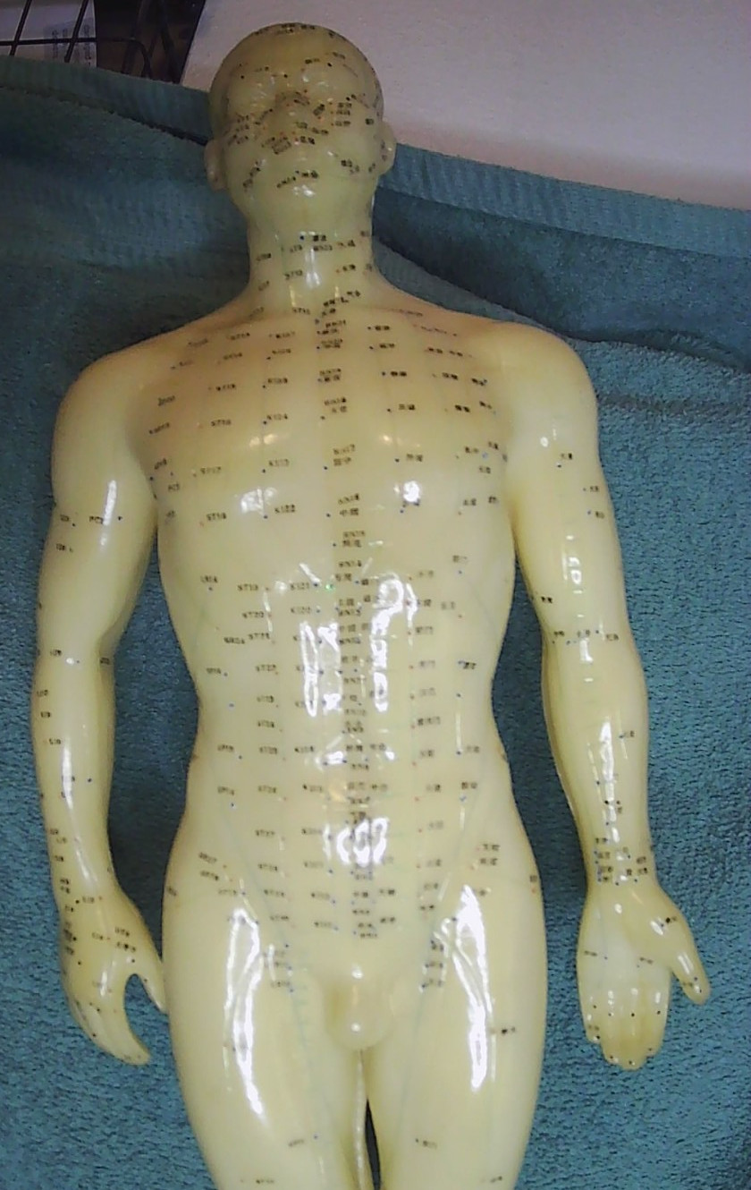 Vintage Chinese Acupuncture Model ~Nude male sculpture~ Science Biology 20″ tall