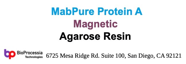 MabPure «Protein A» Magnetic Agarose Resin Beads for Antibody Purification