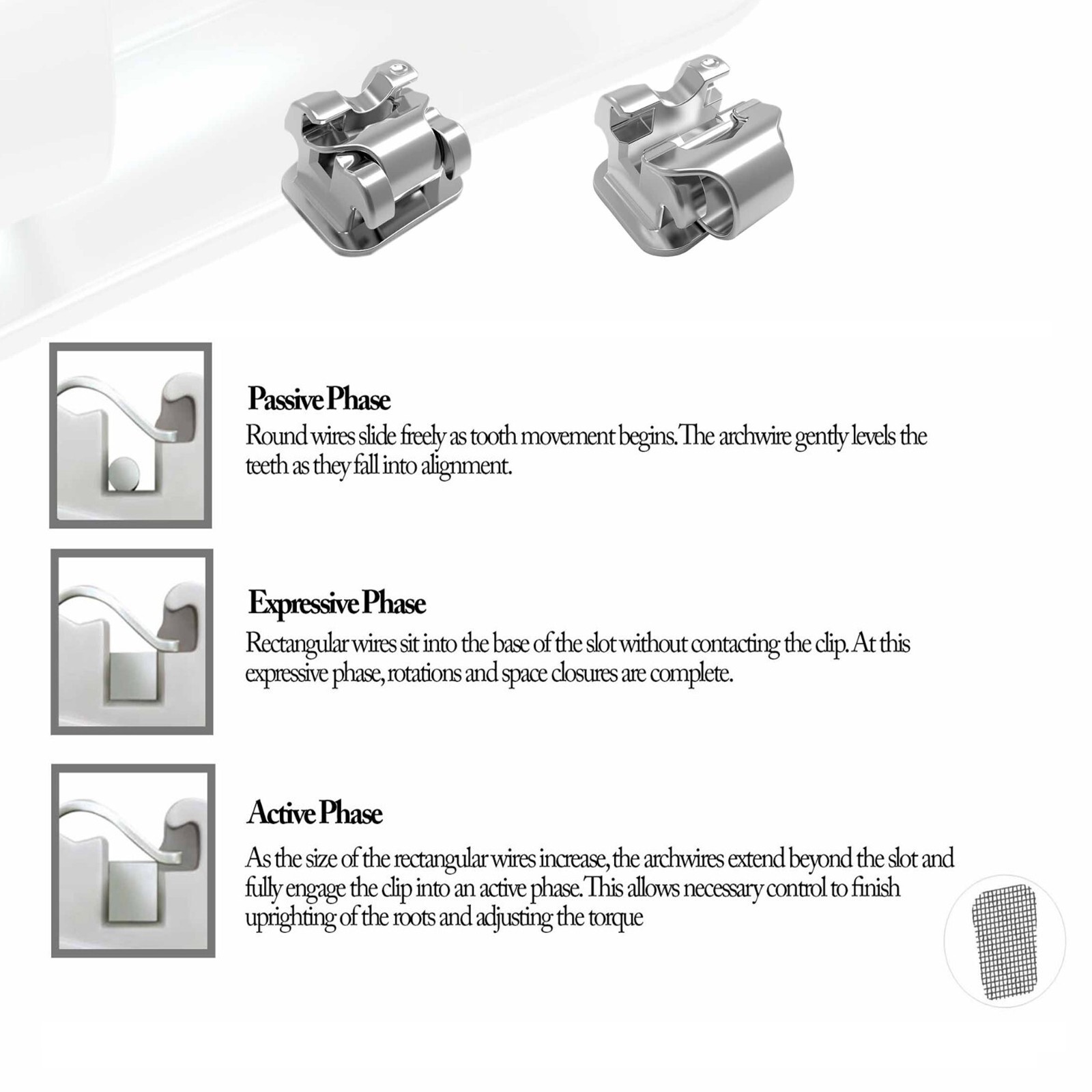 Orthodontic Brackets Clever Thomas Metal Damon AO Empower Self Ligating Braces