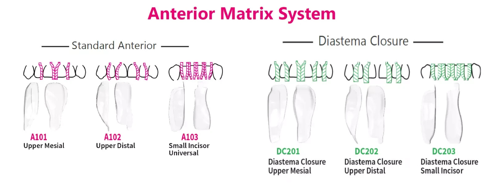 BioClear Anterior Dental Matrix Refills Pack Of 12 pcs Free Shipping