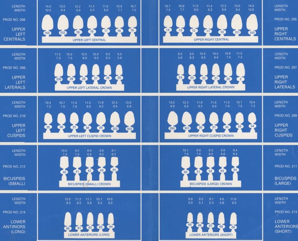 DENTAL POLYCARBONATE TEMPORARY CROWNS #23 (URL) UPPER RIGHT LATERAL 5/PACK