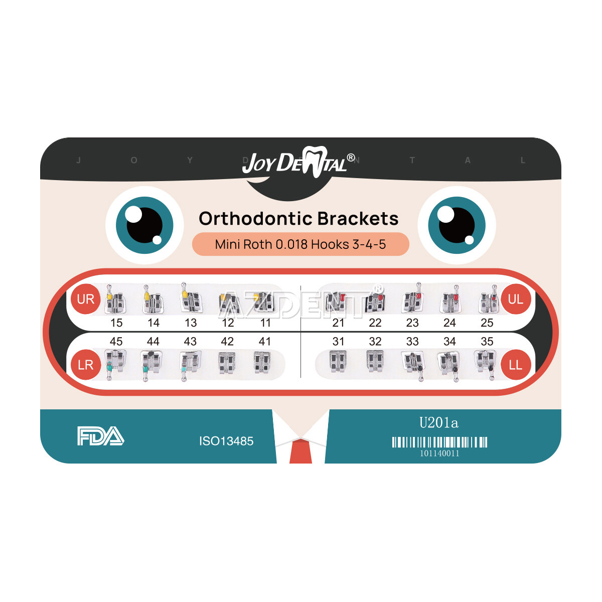AZDENT Dental Orthodontic Brackets Braces/Super Elastic Niti Ovoid Arch Wires