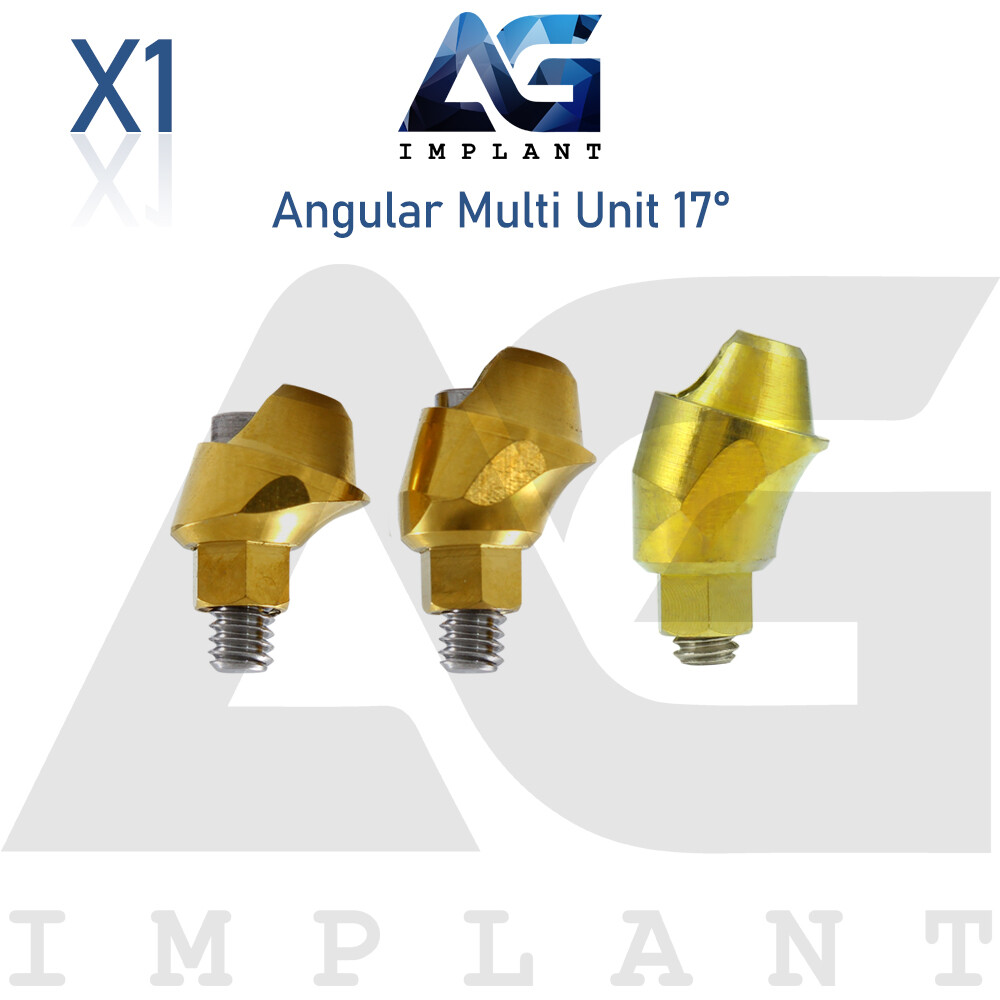 Angular Multi Unit 1.6 Abtments 17° Internal Hex New With Screw