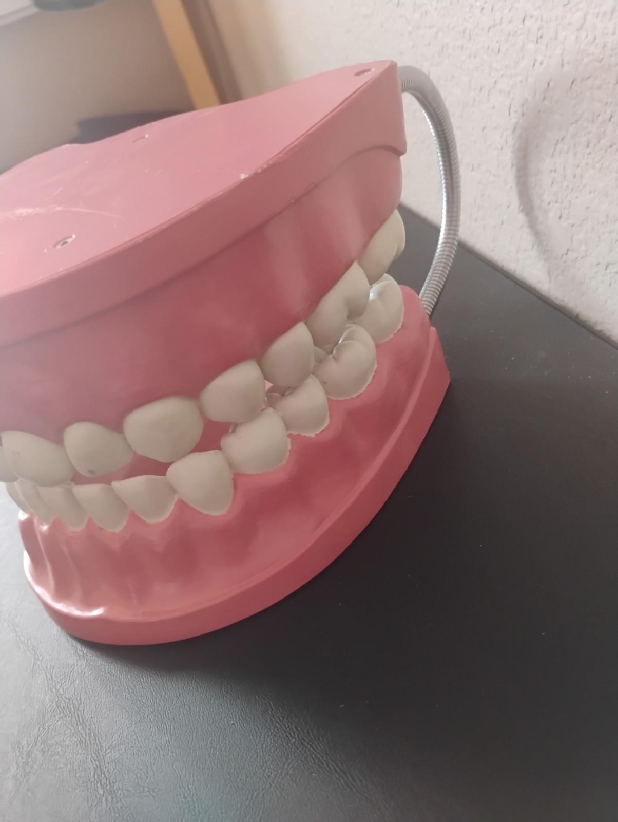 Large Anatomical Dental Model with Flexible Hinges for Educational Demonstration