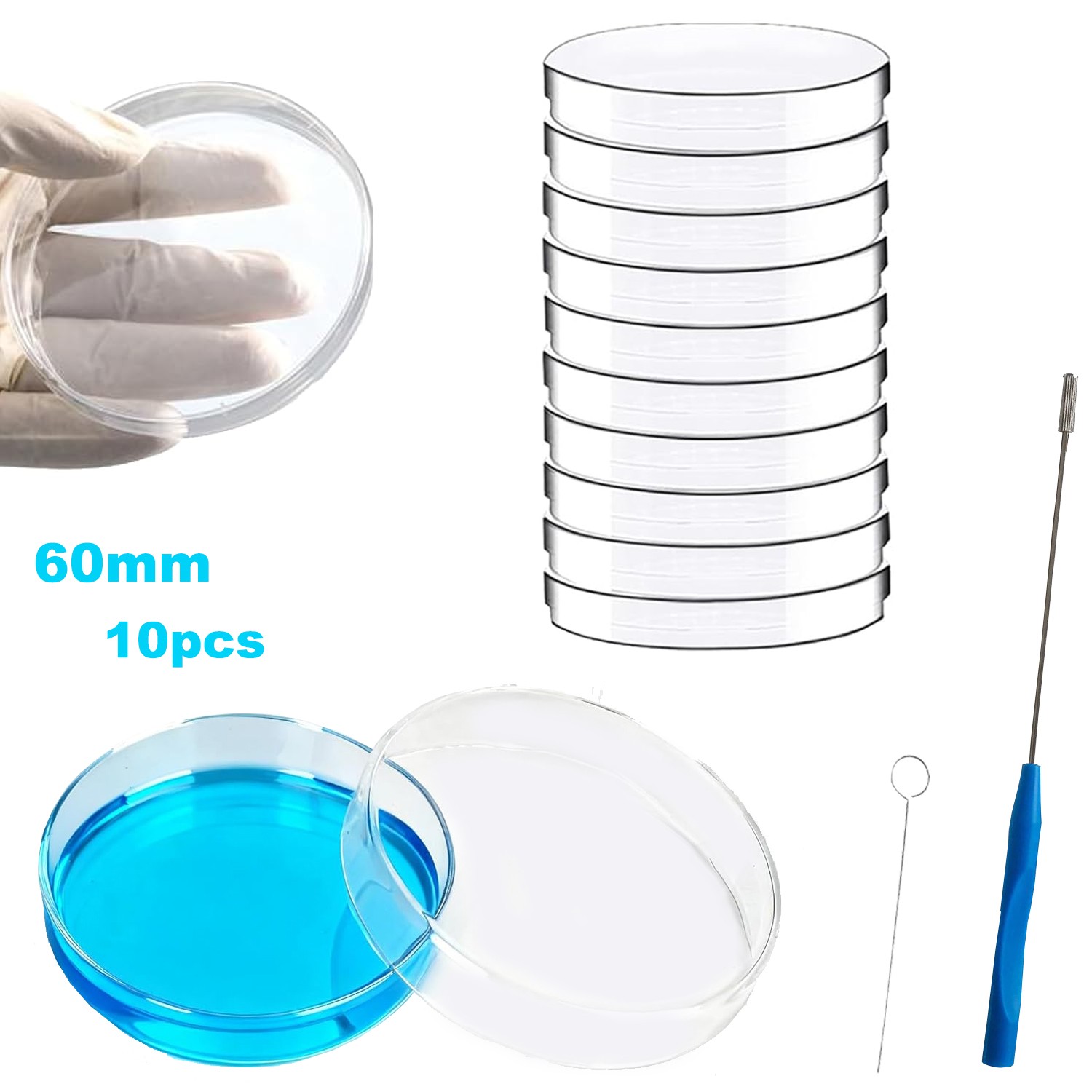 10Pcs 60mm Glass Petri Dishes with Lids Autoclavable Lab Petri Plates Reusable