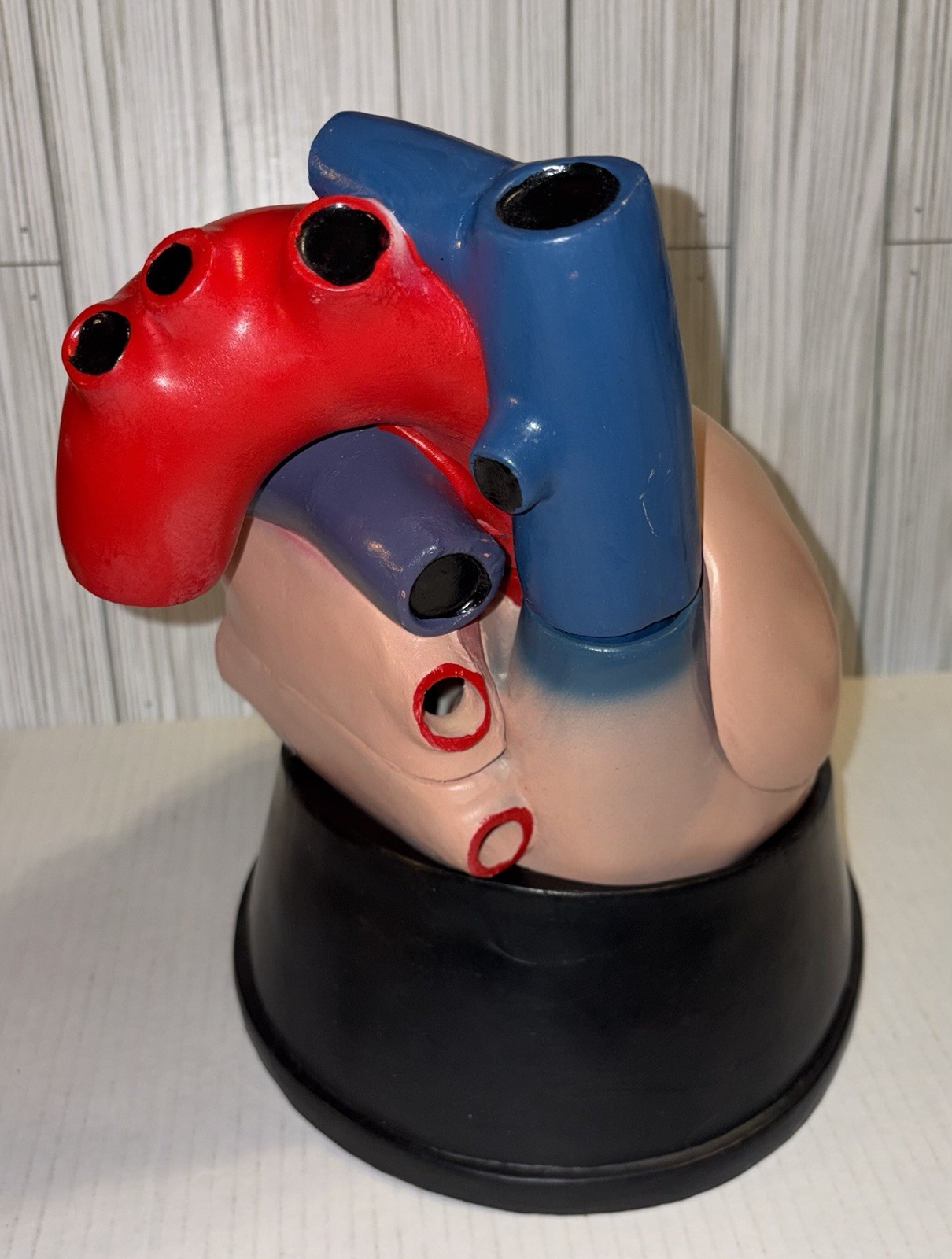 Dissectible Human Anatomical Jumbo Heart Model 7 Piece + Base Teaching Model