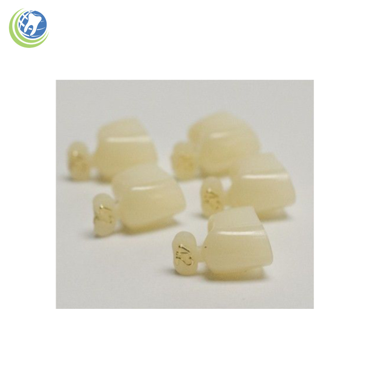 DENTAL POLYCARBONATE TEMPORARY CROWNS #42 FIRST (1ST) BICUSPID SMALL 5/PACK