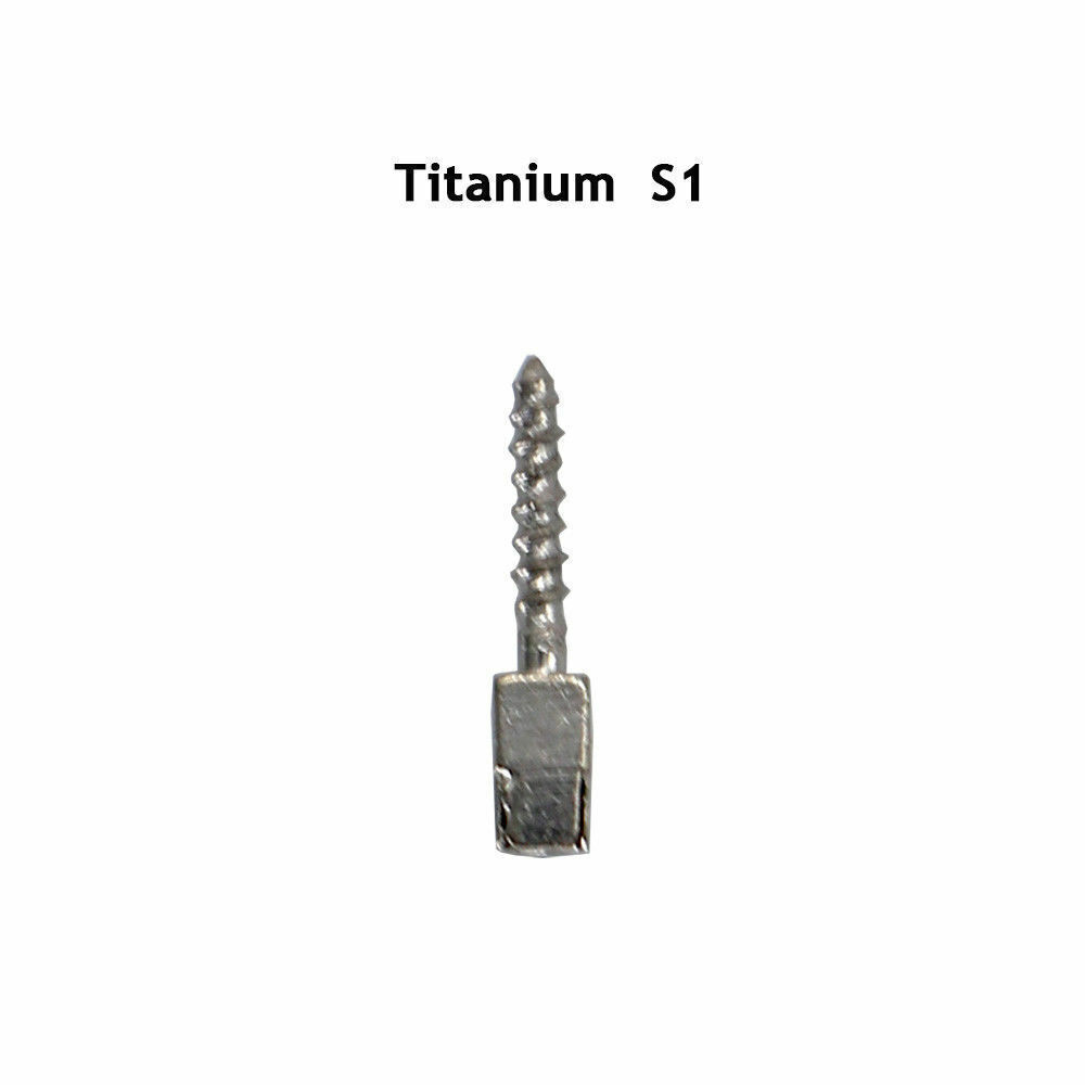 30Pcs Dental Conical Screw Posts Root Canal Pins Titanium Assorted All Size