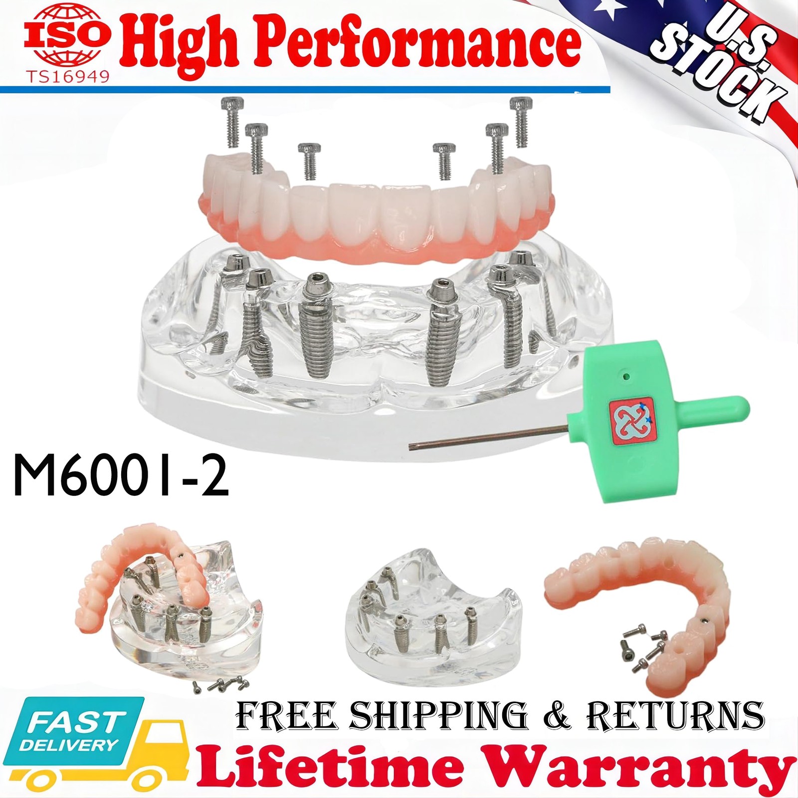 Dental Implant Overdenture Model Demo All-On-6 Upper Jaw 6 Screws Clear M6001-2