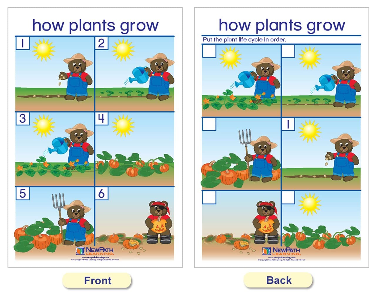 Newpath Learning Newpath All About Plants Bulletin – –