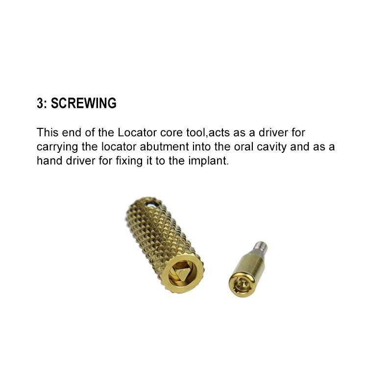Locator Core Tool Factory-Implied Handle for Removing and Inserting Caps Metal