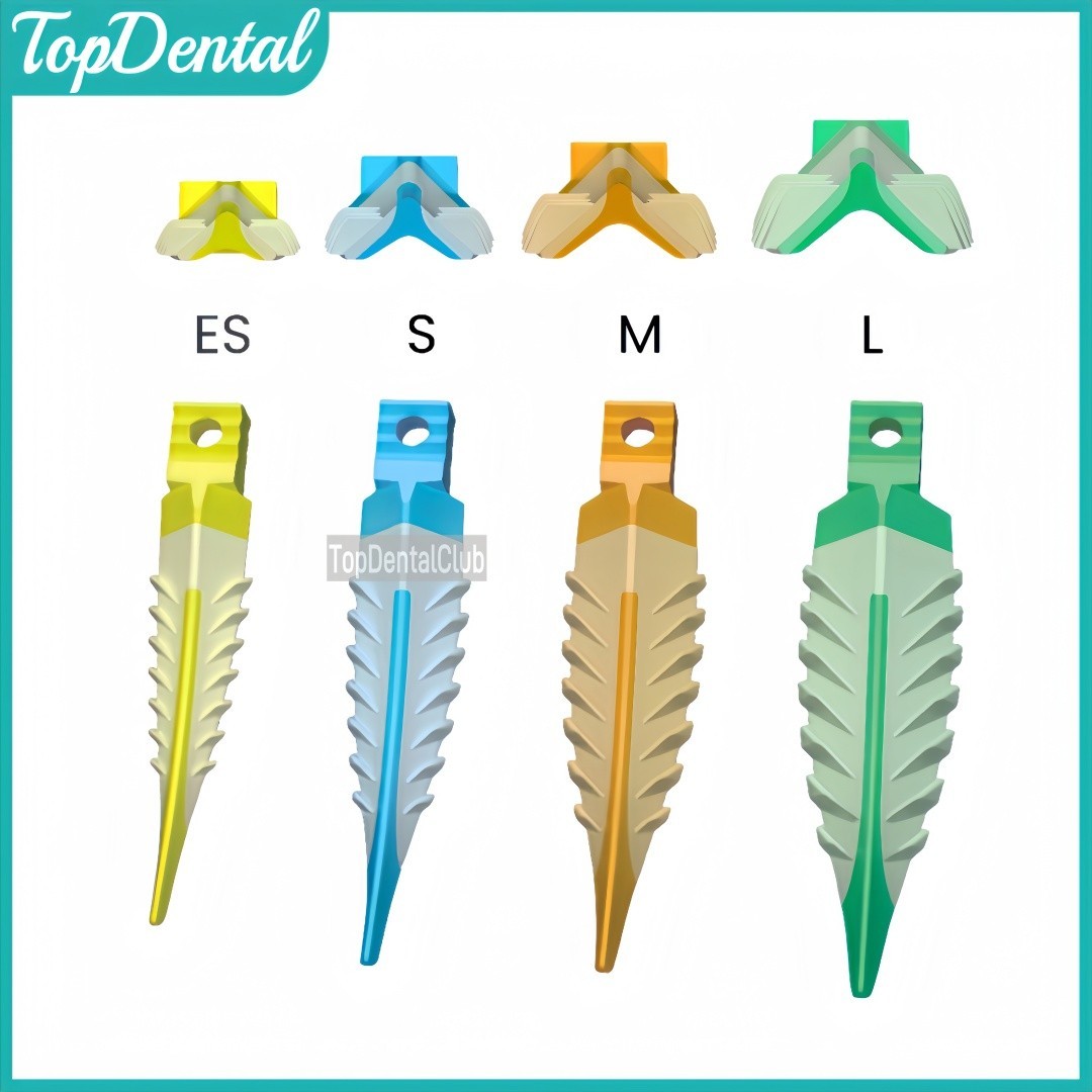 4Sizes Dental Composite Strata Wedge Soft Face Cervical Seal Diastema Matrix