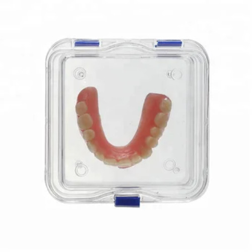 Plastic Dental Box Denture Storage Box with Membrane Hinge Display Jewelry Boxes