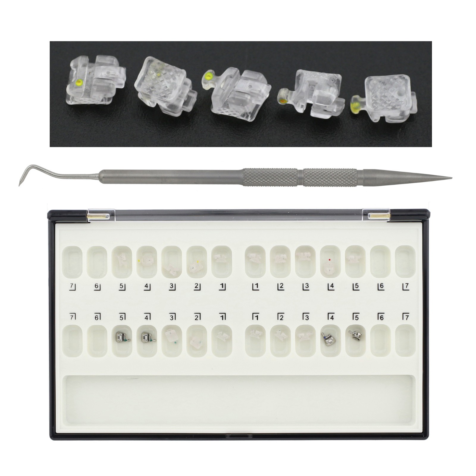 Orthodontic Brackets Clever Thomas Metal Damon AO Empower Self Ligating Braces