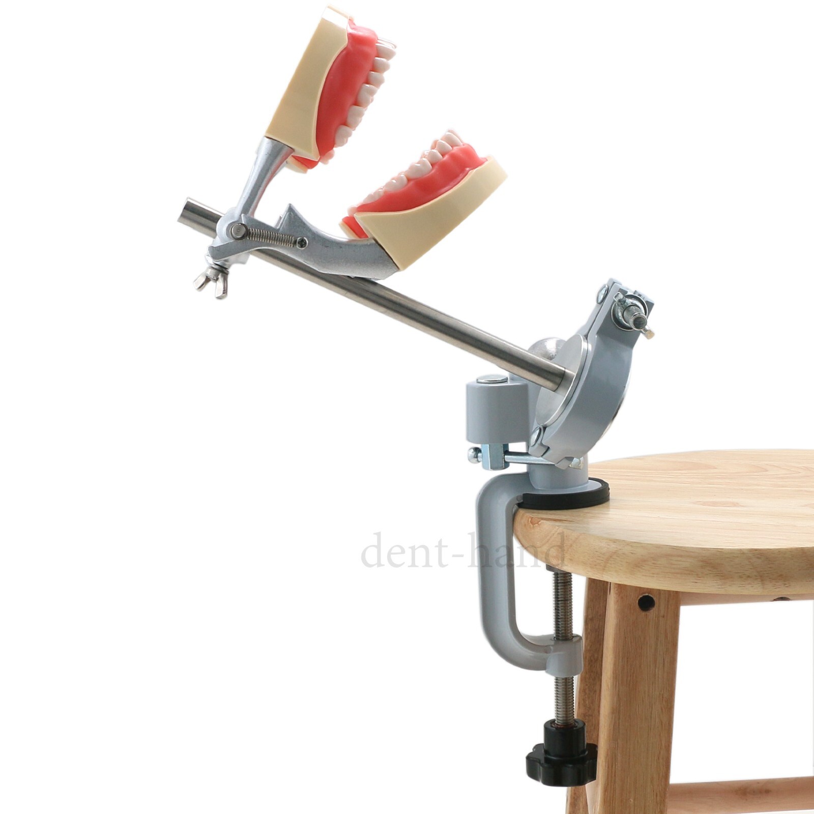 US Dental Typodont Mounting Pole fit Kilgore Nissin Columbia Frasaco Teeth Model