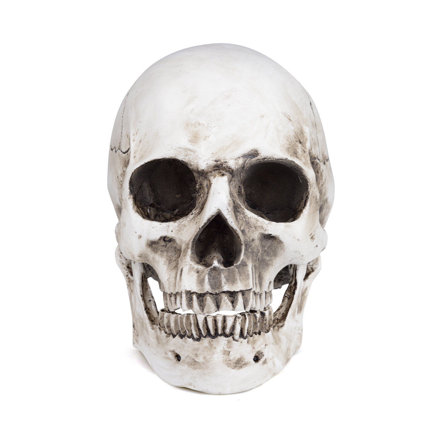 1:1 Retro HumanSkull Replica Resin Anatomical Model Removable Jaw/Chin Realistic
