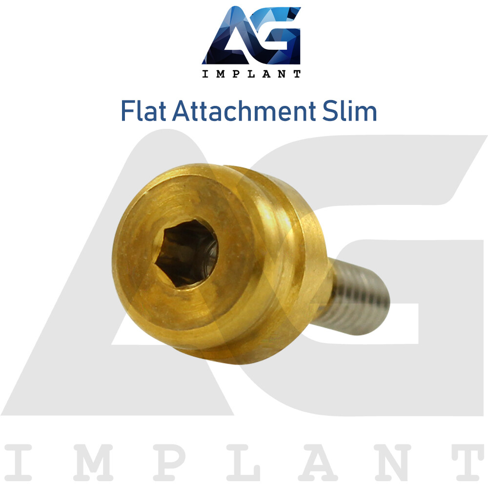 5 Slim Platform Straight Flat Attachment Titanium Int Hex 2.0mm