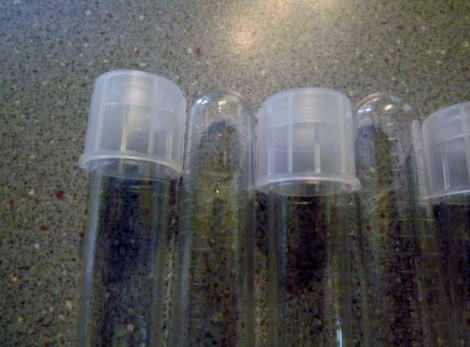 BD Falcon 14 ml Polystyrene Round Bottom Tubes with Snap Caps – pk. of 20 SALE!!
