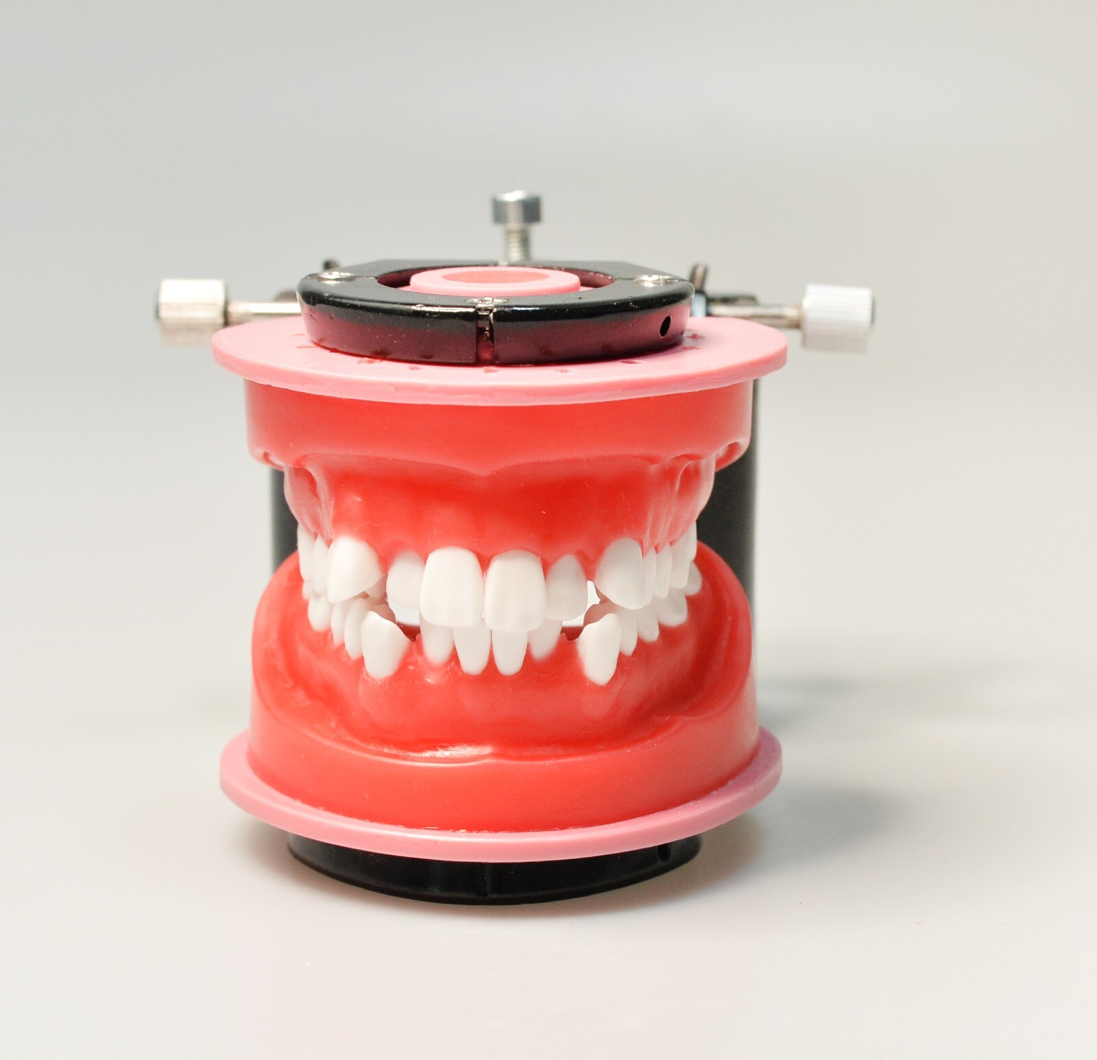 Reusable Dental Practical Study Training Model/typodont/orthodontics Wax Model